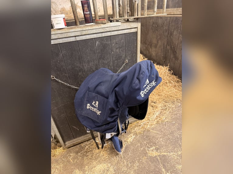 Prestige dressuur zadel