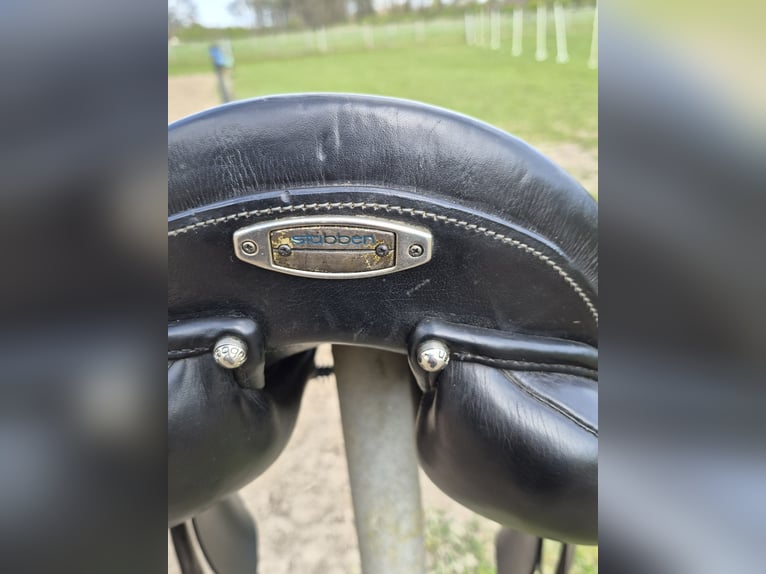 Te koop: Stübben Genesis dressuurzadel
