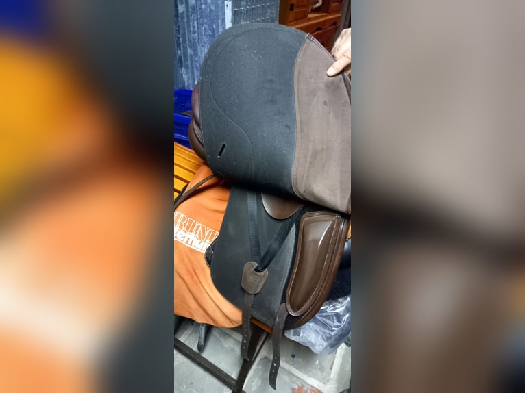 Tekna dressuur 17.5 buin