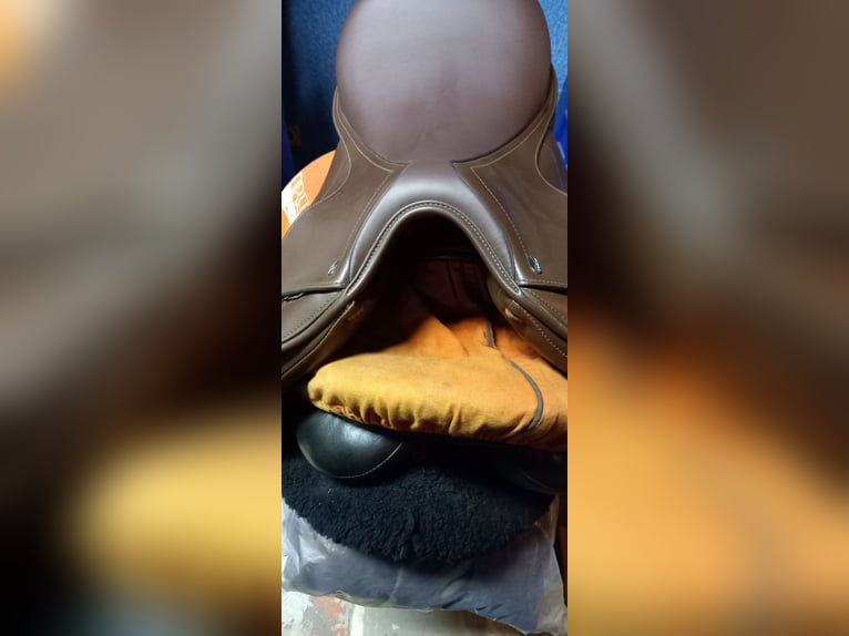 Tekna dressuur 17.5 buin