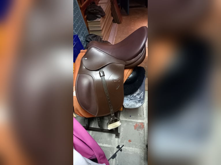Tekna dressuur 17.5 buin