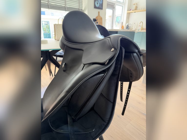 Wintec HART 17,5 dressuur