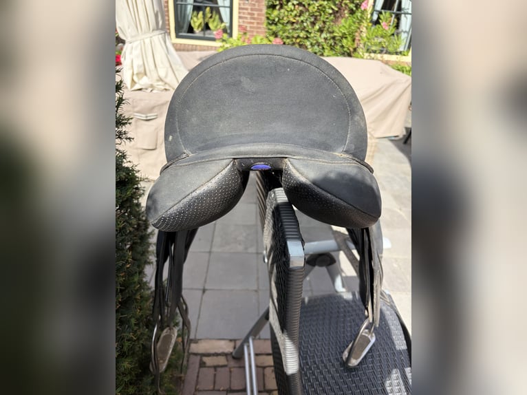 Wintec Pro Dressuur