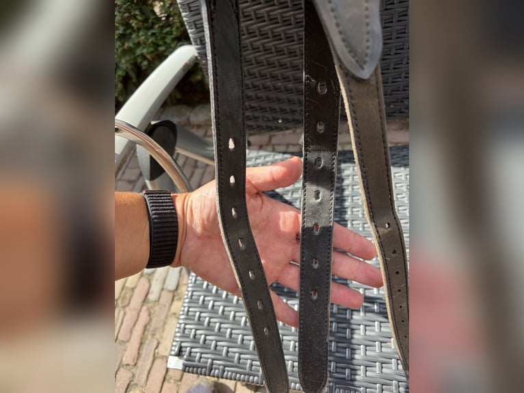 Wintec Pro Dressuur