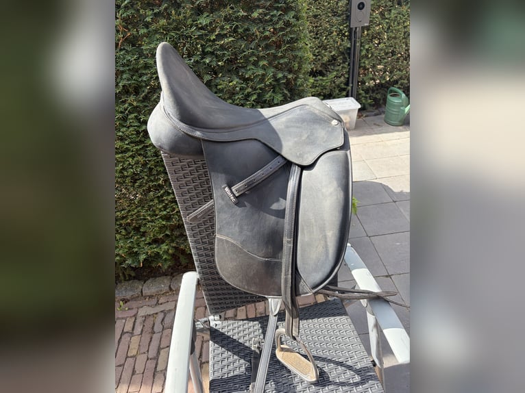 Wintec Pro Dressuur
