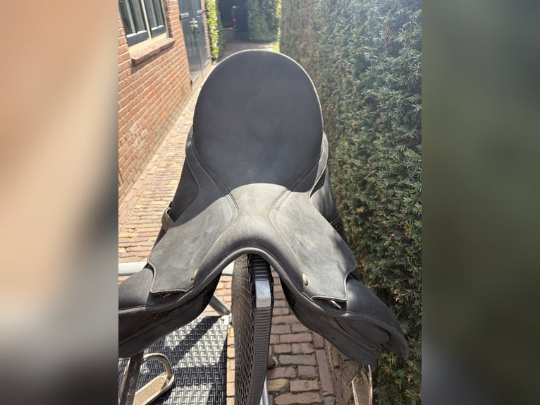 Wintec Pro Dressuur