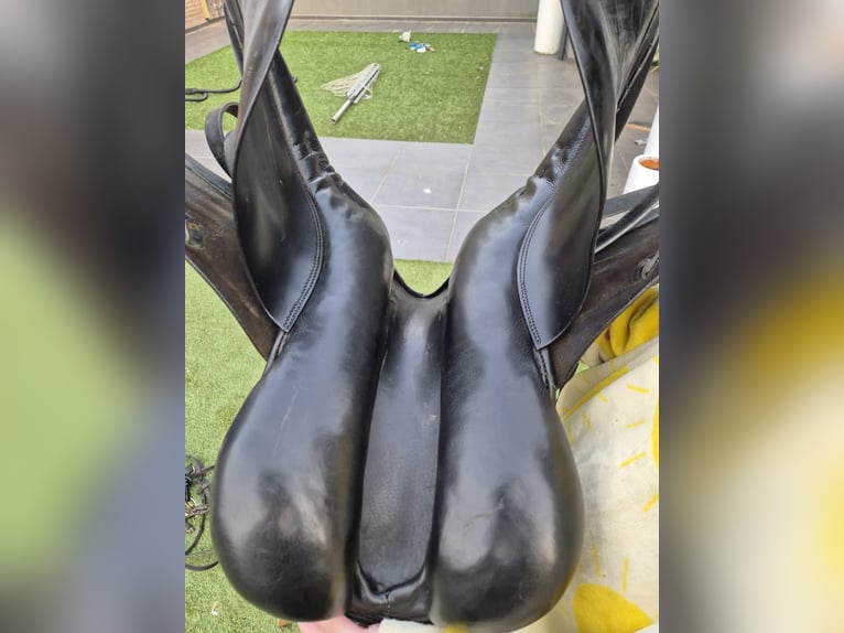 Zo goed al Nieuw stubben dressuur zadel
