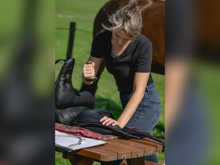 Zoek je een passend zadel? Boek een pasconsult 