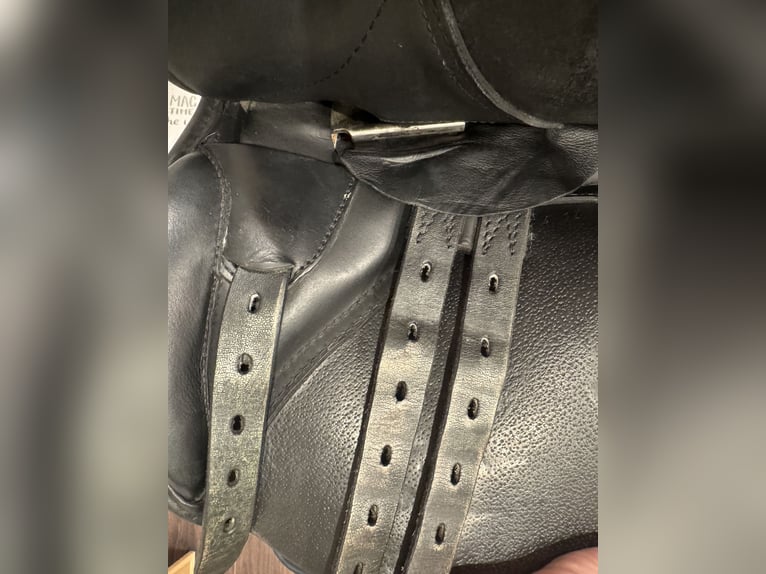 JL GP Jumping pony saddle