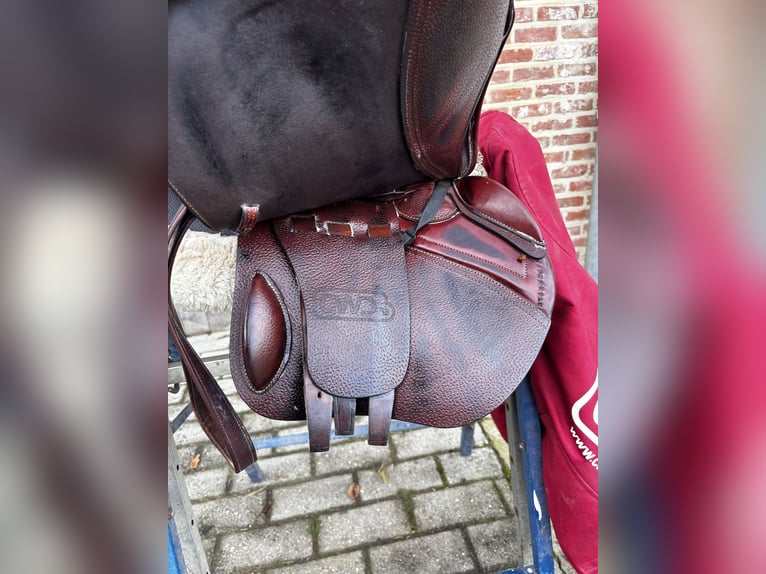 CWD classic 17,5 inch