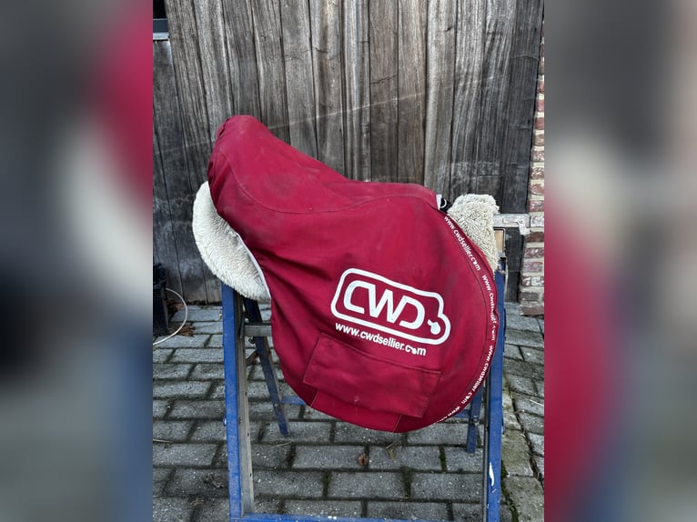 CWD classic 17,5 inch