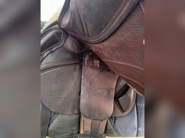 Cwd zadel 17 inch
