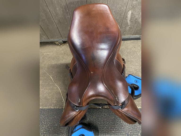 Ikonic Elite jumping half deep Seat blue