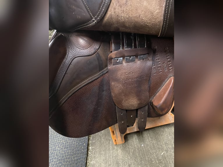 Ikonic Elite jumping half deep Seat blue