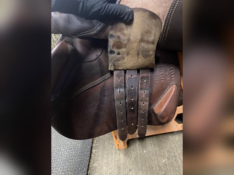 Ikonic Elite jumping half deep Seat blue