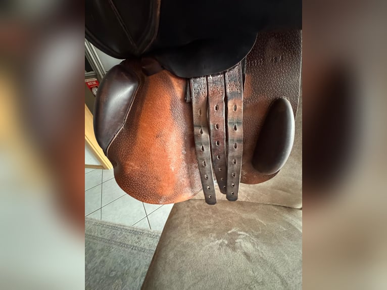 Jumping saddle Prestige Meredith 18''