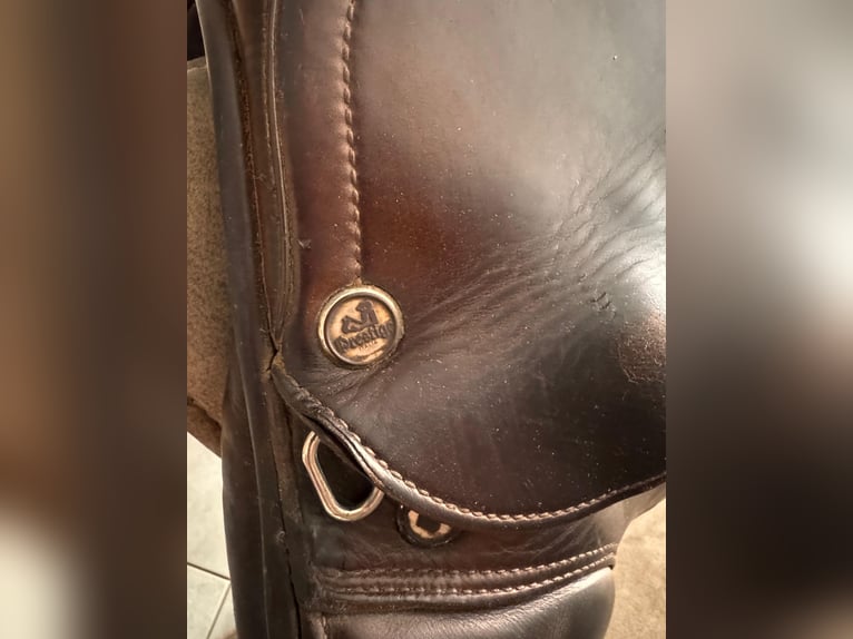 Jumping saddle Prestige Meredith 18''