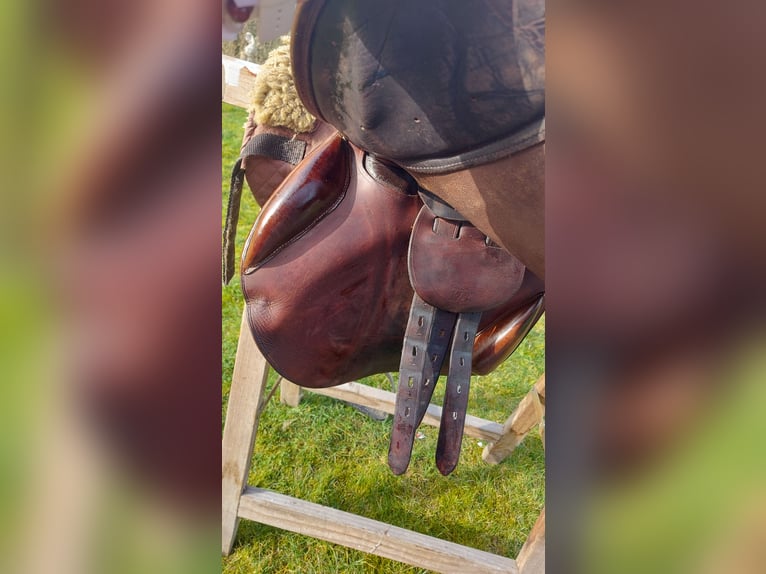 LJ Close contact springzadel