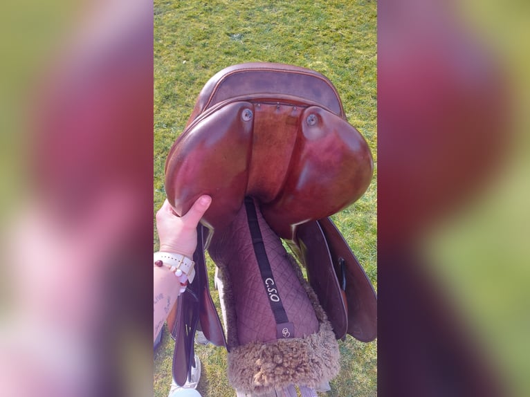 LJ Close contact springzadel