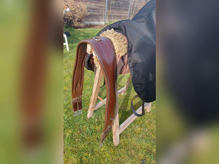 LJ Close contact springzadel