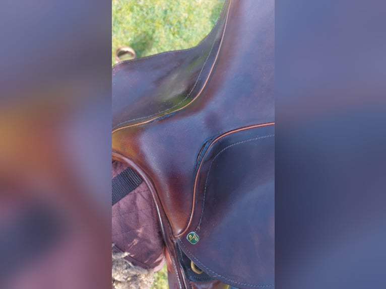 LJ Close contact springzadel