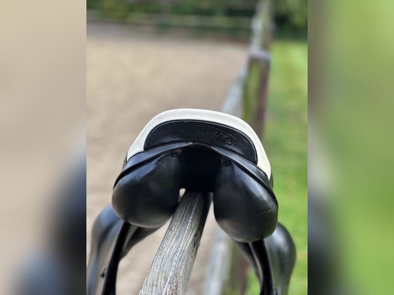Te koop: Prestige Rialto springzadel – 17 inch