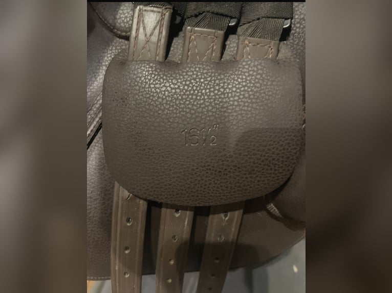 Norton pro pony zadel 