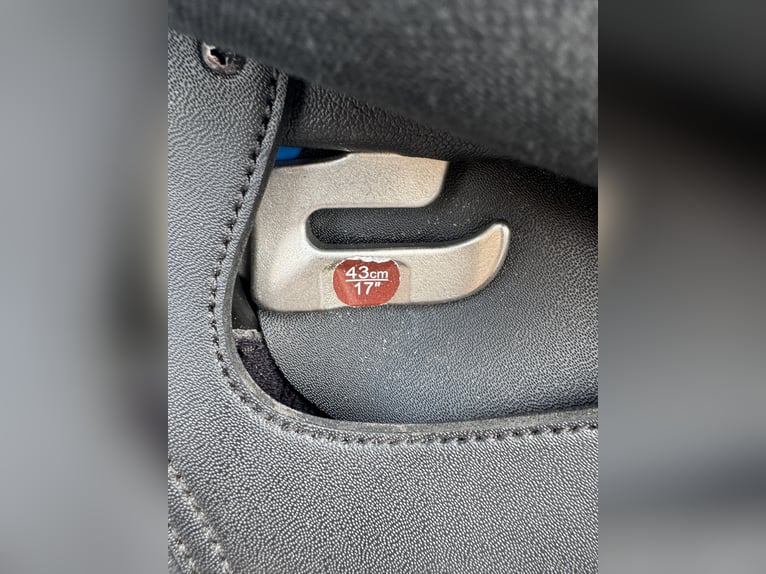 Veelzijdigheid Wintec 500 hart zwart