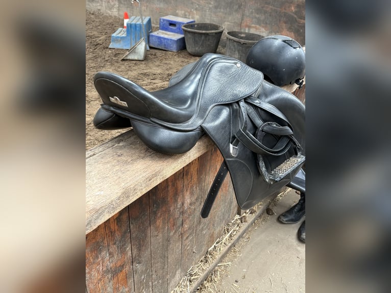 Veelzijdigheids bates zadel 17,5 inch