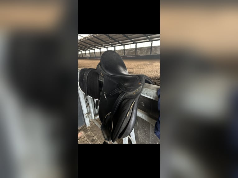 Veelzijdigheids zadel