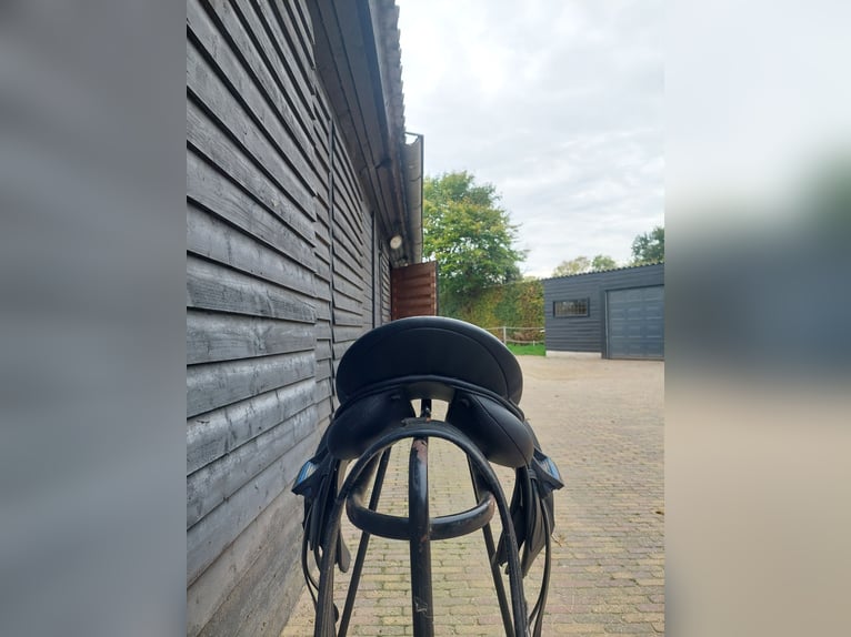 Veelzijdigheidszadel Norton 17'' Veelzijdigheidszadel Norton 17''