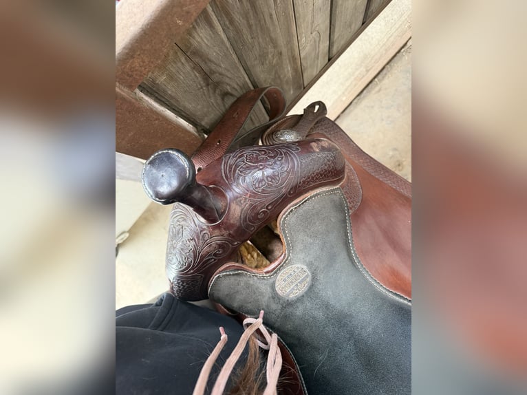 Ranchman zadel te koop 16,5 inch QH