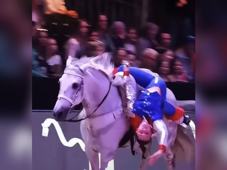 Trick Riding Ben Veach White Western Show Saddle