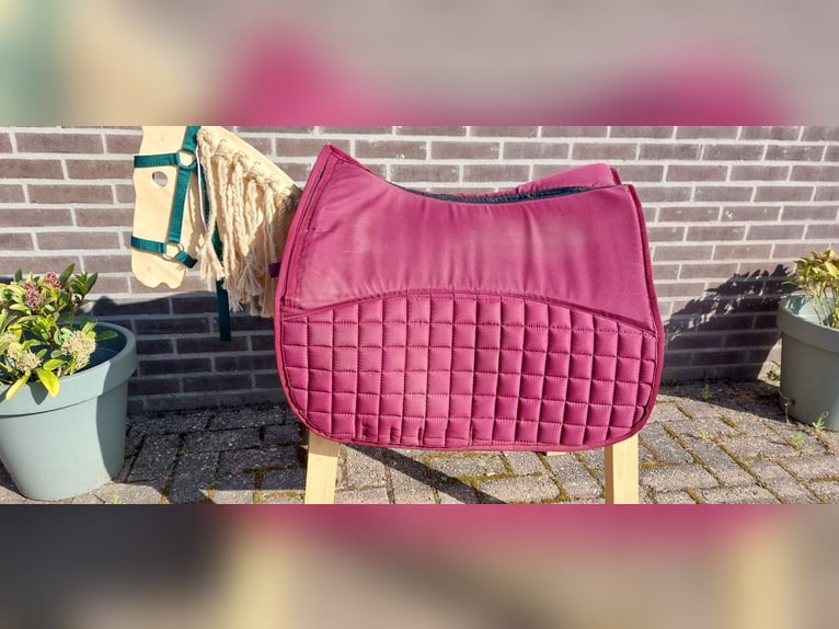 Tweedekans EDIX metallic pad met inlages maat M