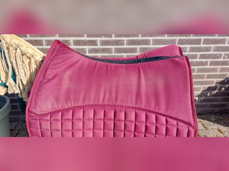 Tweedekans EDIX metallic pad met inlages maat M
