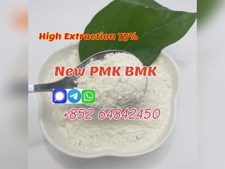 buy new bmk powder pmk powder with good quality best price