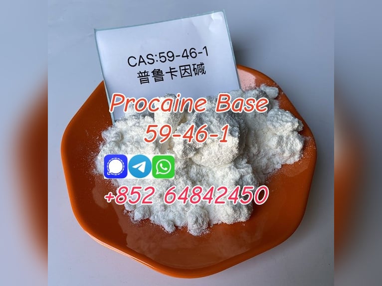 Buy Cas59-46-1 Procaine Base Procaine powder with premium quality 