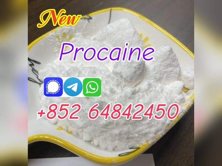 Buy Cas59-46-1 Procaine Base Procaine powder with premium quality 