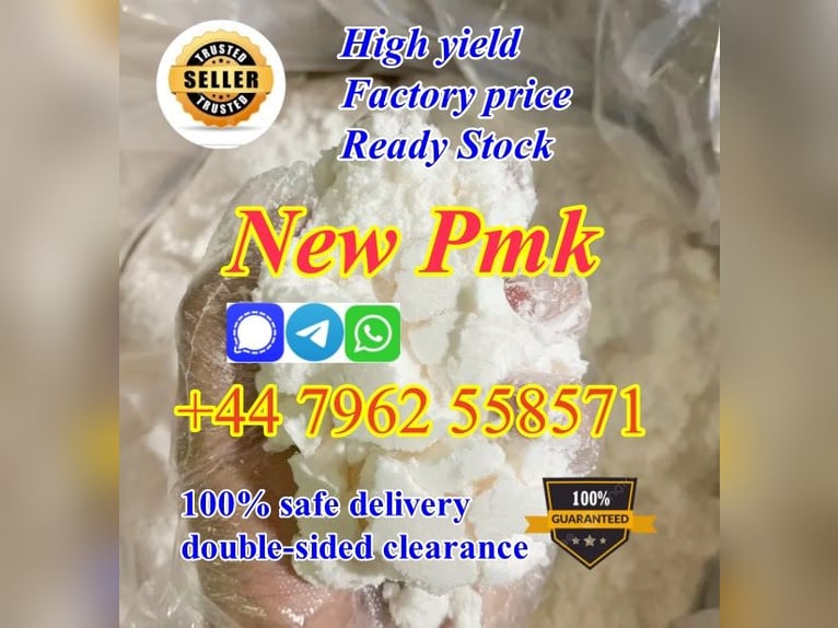 Netherlands hot seller new PMK Powder with high purity best price in stock 