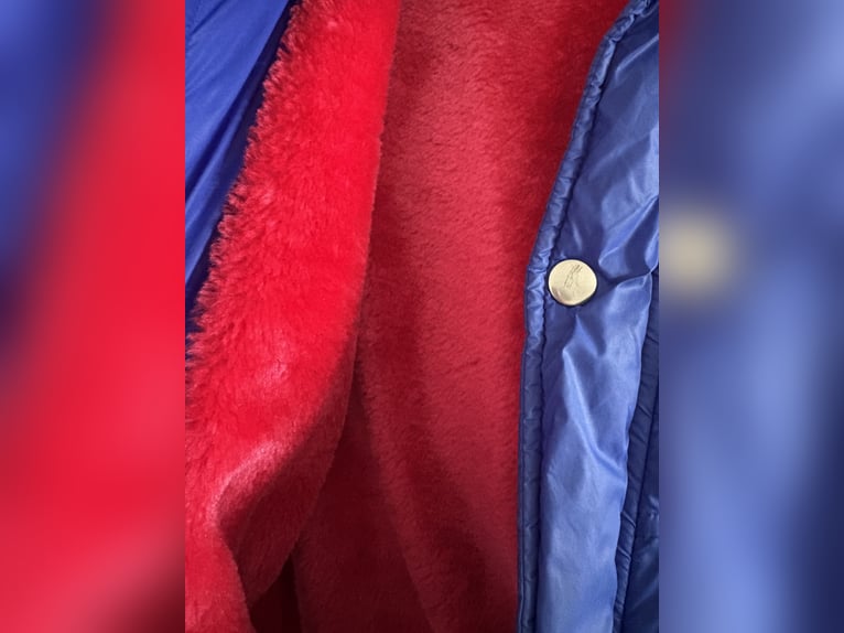 Harry’s horse jas maat 152 