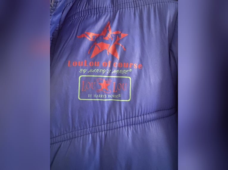 Harry’s horse jas maat 152 