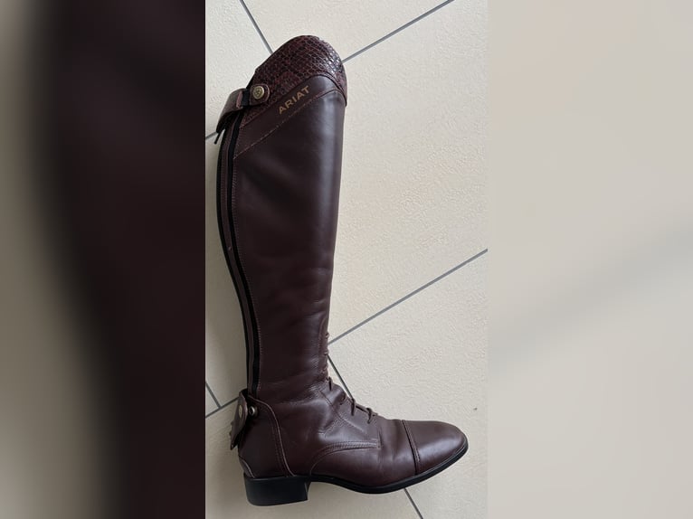 Ariat Palisade Reitstiefel braun/croco, Gr. 38, Neuwertig