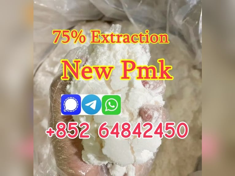 Top quality competitive price new pmk powder with high yield in stock