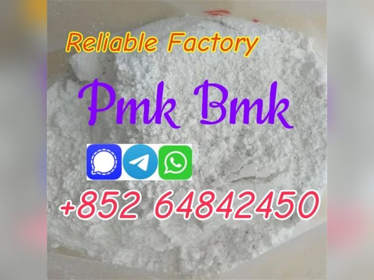 Where to Find Reliable Supplier of PMK Powder ?