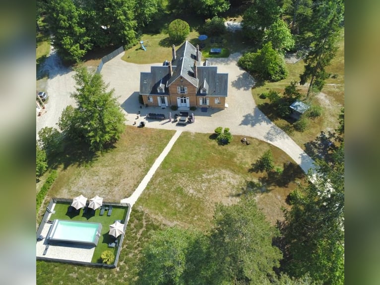 5-sterrenruitergîtes, stallen en buitenrijbaan in het hart van de Sologne