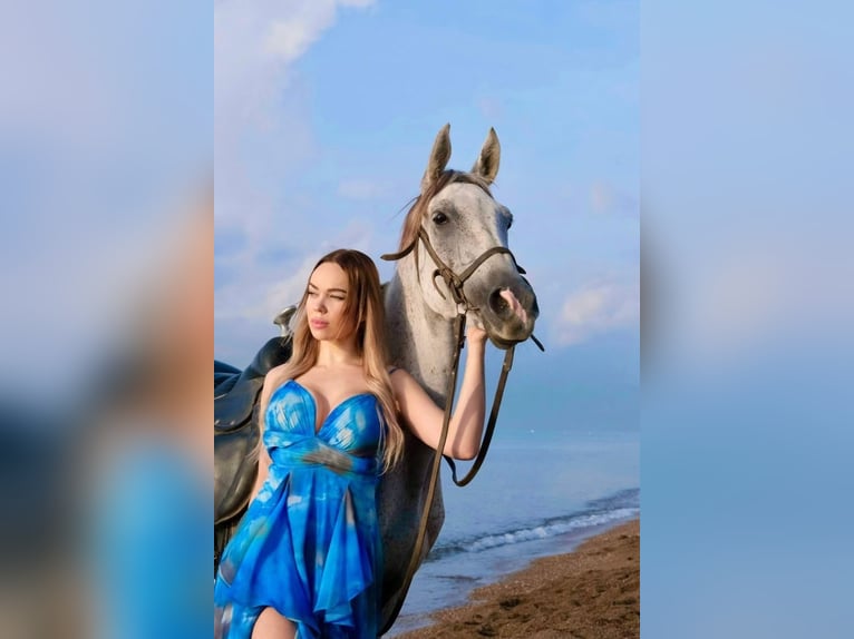 Antalya: paardrijden op het strand