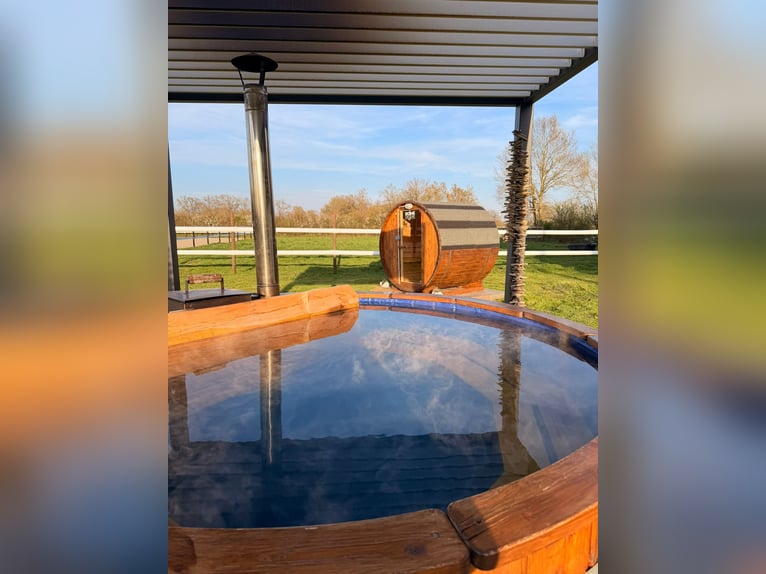 Gezinsuitje op een paardenhouderij – natuur, paarden en welzijn