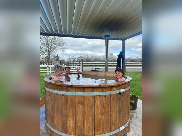 Gezinsuitje op een paardenhouderij – natuur, paarden en welzijn