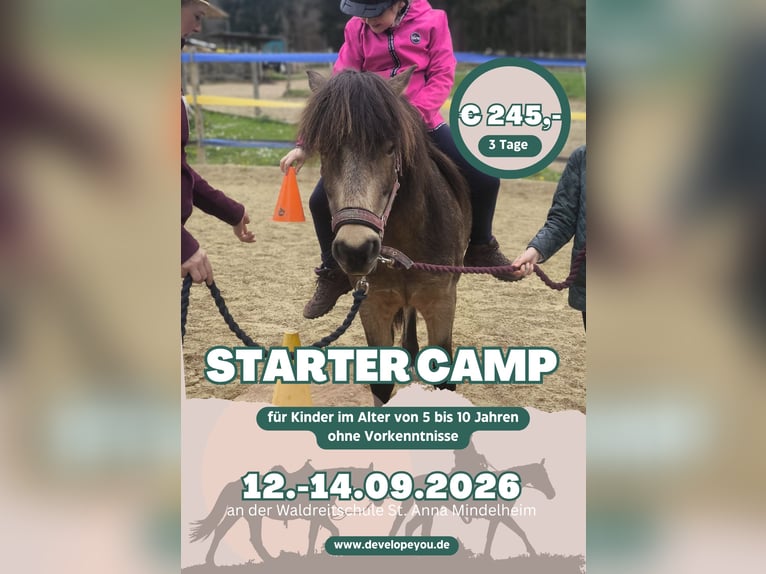 3-daags Paardrijkamp Dagkamp voor Kinder tijdens de Beierse Zomervakantie voor kinderen van 5 tot 10