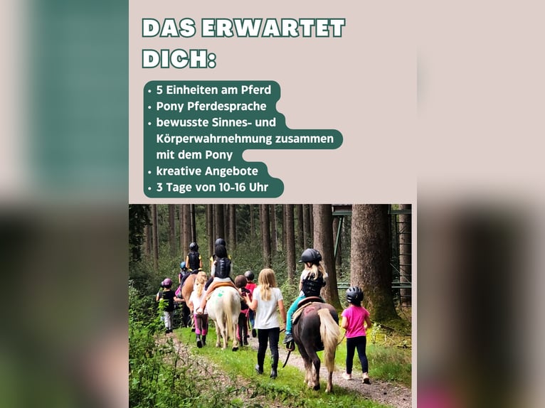 3-daags Paardrijkamp Dagkamp voor Kinder tijdens de Beierse Zomervakantie voor kinderen van 5 tot 10